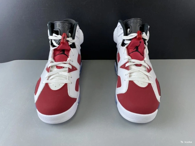 Cheap TBK AIR 2014 JORDAN 6 384664-160 'CARMINE' RETRO 0718